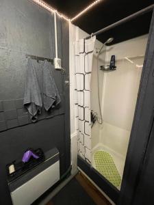 a small bathroom with a shower and a sink at Scandinavia bungalow in Kamennaya Gora