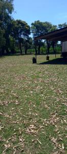a grass field with a picnic shelter and trees at El Paraiso in Navarro