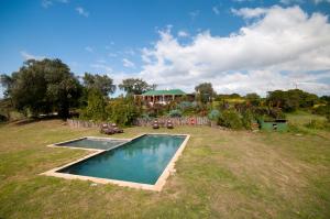 un patio trasero con piscina y una casa en Leeuwenbosch Shearers Lodge - Amakhala Game Reserve en Buyskloof