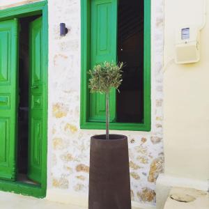a vase with a tree in front of a building at Hypate, traditional island cottage in Halki