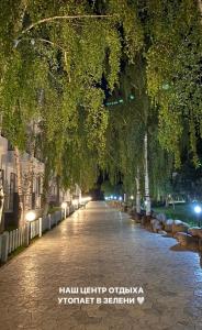a tree lined street at night with lights on at Апартаменты в Чайка Резорт, Иссык-Куль in Chon-Sary-Oy