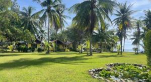 Ban Nong Kok (2)Malai - Asia Resort Tabsakae的棕榈树庭院和房屋