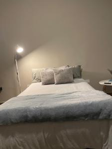 a bedroom with a large bed with pillows on it at LiV109 Norte Depa 7 Cd Obregon in Ciudad Obregón