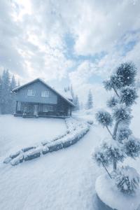 Cabana Brazilor om vinteren