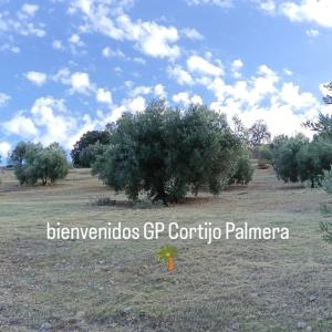 GP Cortijo Palmera - Cortijo de las Chozas的田野里的一片树林，旁边有一个消防栓