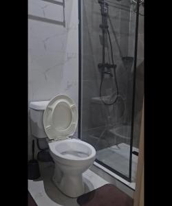 a bathroom with a toilet and a shower at Mohills Apartment Wuye in Abuja