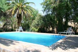 Bazén v ubytování Omaruru Guesthouse nebo v jeho okolí