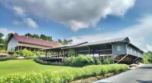 Zahrada ubytování Borneo Hotel