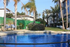 une piscine bordée de palmiers et un bâtiment dans l'établissement Hotel Rober Palas, à Albir