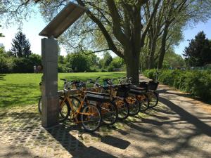 eine Reihe von Fahrrädern, die in einem Park geparkt sind in der Unterkunft Ferienhaus Zur Mainpforte in Mainz