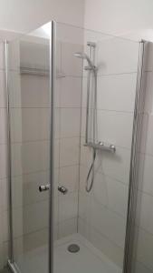 een douche met een glazen deur in een badkamer bij Studio-Apartment Goslar in Wolfenbüttel +2 foto's