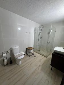 Elqoshלקשורי סוויט - Luxury suite的浴室配有马桶和玻璃淋浴房 更多8张照片