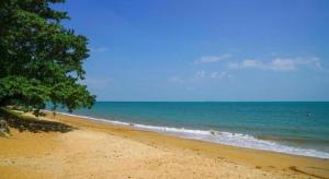 einen Sandstrand mit einem Baum und dem Meer in der Unterkunft Mynubeholidays - NTCPD in Kampong Tanah Merah