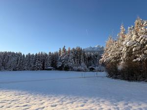 a field covered in snow with trees in the background at Waldchalet am Eichhof in Innsbruck