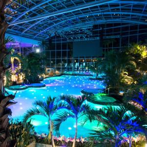 Bazén v ubytování Pensiunea Pelicanilor nebo v jeho okolí