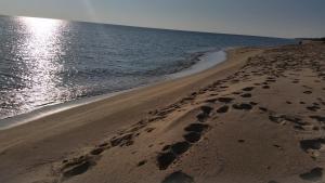a beach with footprints in the sand and water at San Pietro Apartments in San Pietro in Bevagna +2 photos
