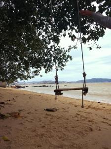 a swing hanging from a tree on a beach at Quarto em casa com moradores in São José