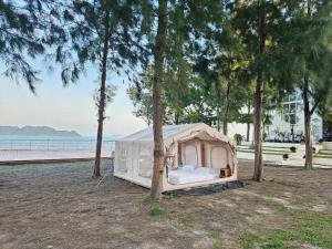 Ban Muang Thaeoภูผาหน้าเล PhuPha-NaLay Cafe'n Camping的田野里，树旁有一个鬣蜥帐篷。 更多118张照片