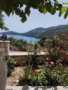 Φυσικό τοπίο κοντά σε αυτό το διαμέρισμα +27 φωτογραφίες