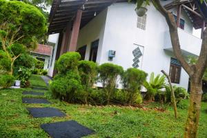 a walkway in front of a house with bushes at Firenze in Hikkaduwa