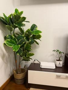 un escritorio con dos macetas encima en El Pasaje Apartamento, en Oviedo