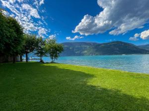 a grassy field next to a body of water at Surfers Studio near Interlaken, at lake with pool in Därligen