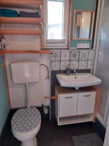 a small bathroom with a toilet and a sink at Tinyhaus Lara in Bad Waldsee
