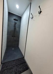 a bathroom with a shower with a tile wall at L'Appart Indus et Parking Privé in Blois