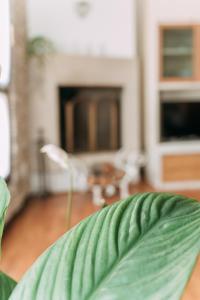 Un lugar para sentarse en Palladio Apartment - In Centro con Garage, Vista Fiume, Jacuzzi