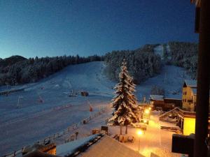 uma árvore de Natal no meio de uma encosta coberta de neve em Un Isard au Pied des Pistes em Ax-les-Thermes
