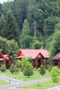 Příroda nedaleko penzionu – hostince
