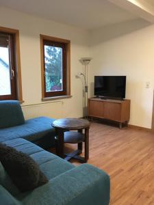 Μια τηλεόραση ή/και κέντρο ψυχαγωγίας στο Ferienhaus Im Grünen