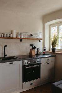 Η κουζίνα ή μικρή κουζίνα στο Lehm & Fachwerk 1-Zimmer-Apartment - Claycation