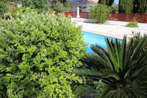 a green bush next to a swimming pool at Villa Serenity in Neo Chorio