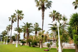 un parque con palmeras y luces de la calle en Hotel Parco dei Principi, en Foggia