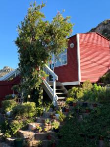 Κήπος έξω από το The Bird's Nest @ 2 Oceans Home +11 φωτογραφίες