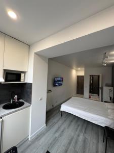 伊万诺-弗兰科夫斯克Smart Modern loft apartments 1的带床和水槽的卧室