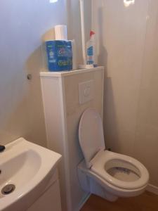 a bathroom with a white toilet and a sink at Parc Sonnleiten - Chalet 4 persoons in Gnesau +10 photos