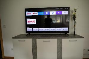 TV a/nebo společenská místnost v ubytování Ferienwohnung-Auszeit-im-Schwarzwald