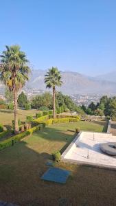 a garden with two palm trees and a pool at Sultan Resorts 7 star Luxurious accommodations 