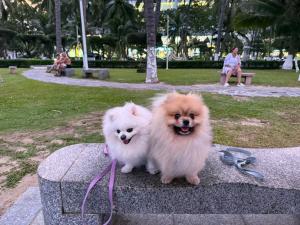 Φωτογραφία από το άλμπουμ του Hoang Son Hotel στο Να Τρανγκ +72 φωτογραφίες