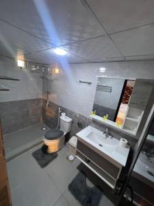 Un baño con lavabo, inodoro y ducha. en Rum Night Style, en Wadi Rum