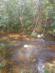 un ruscello nel mezzo di una foresta di Suite e Natureza Samsarah a Parati
