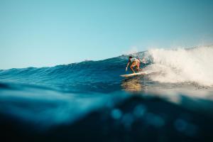 a man riding a wave on a surfboard in the ocean at Bibee Surf in Thulusdhoo