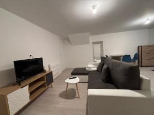 ein Wohnzimmer mit Sofa und Flachbildfernseher in der Unterkunft Le Breakaway, cosy et calme in Saint-Junien