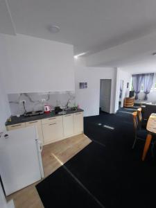 een lege kamer met een keuken en een woonkamer bij Panorama Borsko jezero in Beljevina