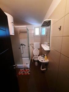 een kleine badkamer met toilet en wastafel bij Panorama Borsko jezero in Beljevina
