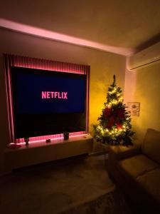 TV a/nebo společenská místnost v ubytování Downtown Deluxe Apartment