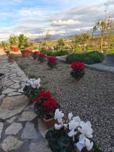 a garden with red and white flowers in pots at Antica Masseria Il Casone in Candela