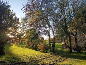 Κήπος έξω από το Seaside Charm in Aabenraa - By Traum Ferienwohnungen +31 φωτογραφίες